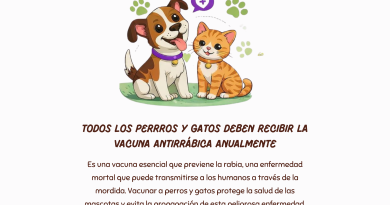 Alvear: Comienza la primera etapa de la campaña de vacunación antirrábica 2026