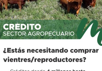 La Pampa: Anunciaron nueva línea crediticia para productores agropecuarios