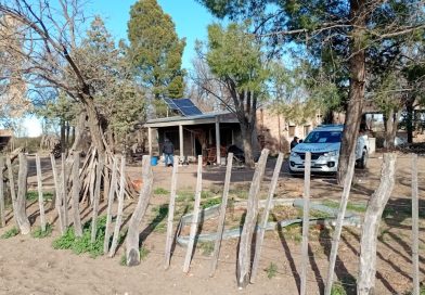 Tragedia familiar en el campo: asesinó a su hermano, lo declararon inimputable y pasará más de 10 años en un psiquiátrico