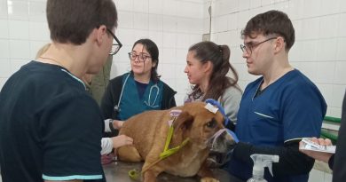 Alvear: Más de 60 estudiantes de Veterinaria realizaron controles sanitarios en el Refugio Canino Hociquitos
