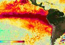 Alerta climática: José Bianco advierte que El Niño impactará con fuertes lluvias hasta el final del verano