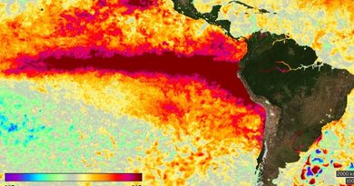 Alerta climática: José Bianco advierte que El Niño impactará con fuertes lluvias hasta el final del verano