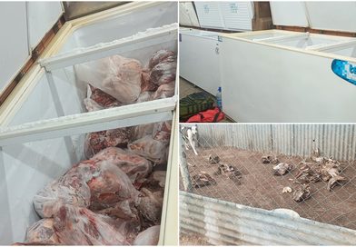 Desmantelan frigorífico clandestino en Monte Nievas: “La carne podría ser peligrosa para la salud pública”, dijo el fiscal Matías Juan