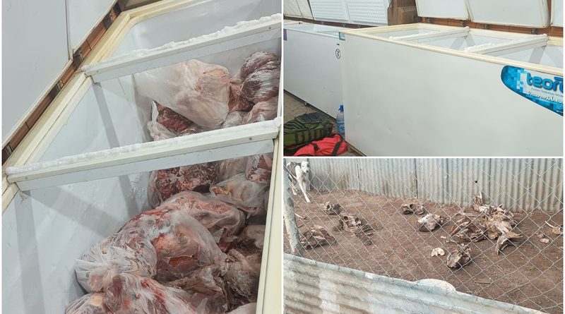 Desmantelan frigorífico clandestino en Monte Nievas: “La carne podría ser peligrosa para la salud pública”, dijo el fiscal Matías Juan