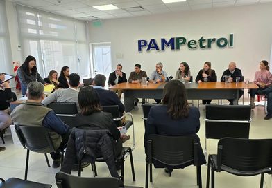 Dos grupos empresarios ofertaron invertir más de USD 25 millones en el Parque Solar de General Pico
