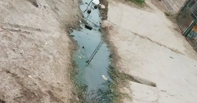 Alvear: Vecinos reclaman una solución ante una situación sanitaria que, según denuncian, afecta a todo un barrio