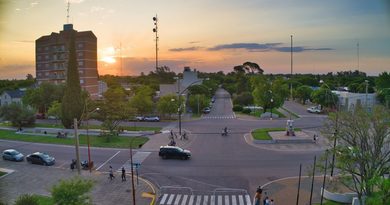 Intendente Alvear avanza con la reposición y planificación del arbolado urbano